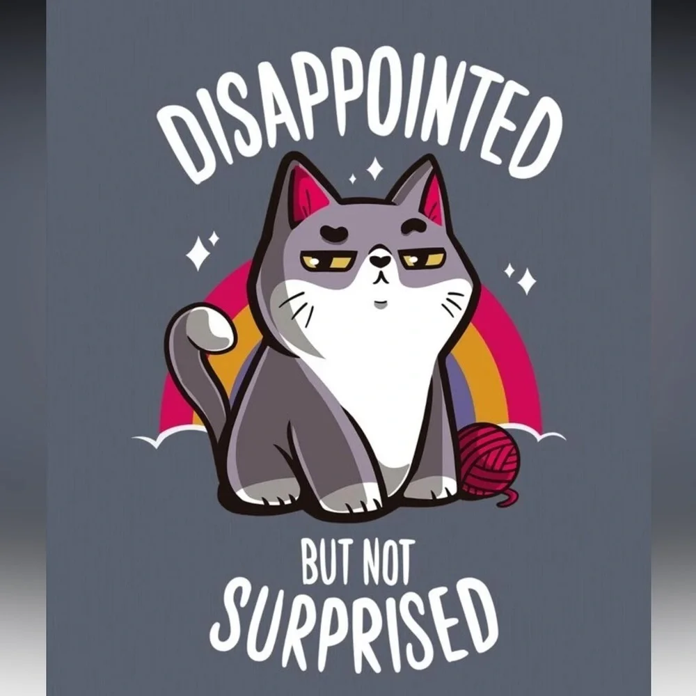 SHEIN || NWOT Gray Cat Attitude Oversized T-Shirt (M)